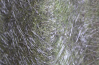 Shetland Islands fibreglass roof work